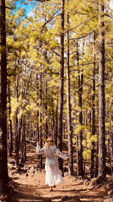 Beginner Guide to Mindful Walking: Step Into Calmness